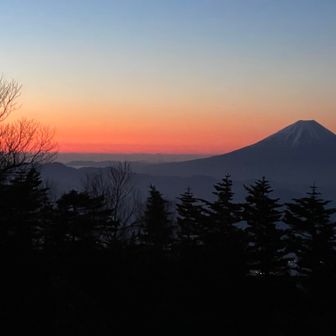 鳳凰山・地蔵岳・観音岳・薬師岳 やっぱりダーリン🗻( *´艸`)
