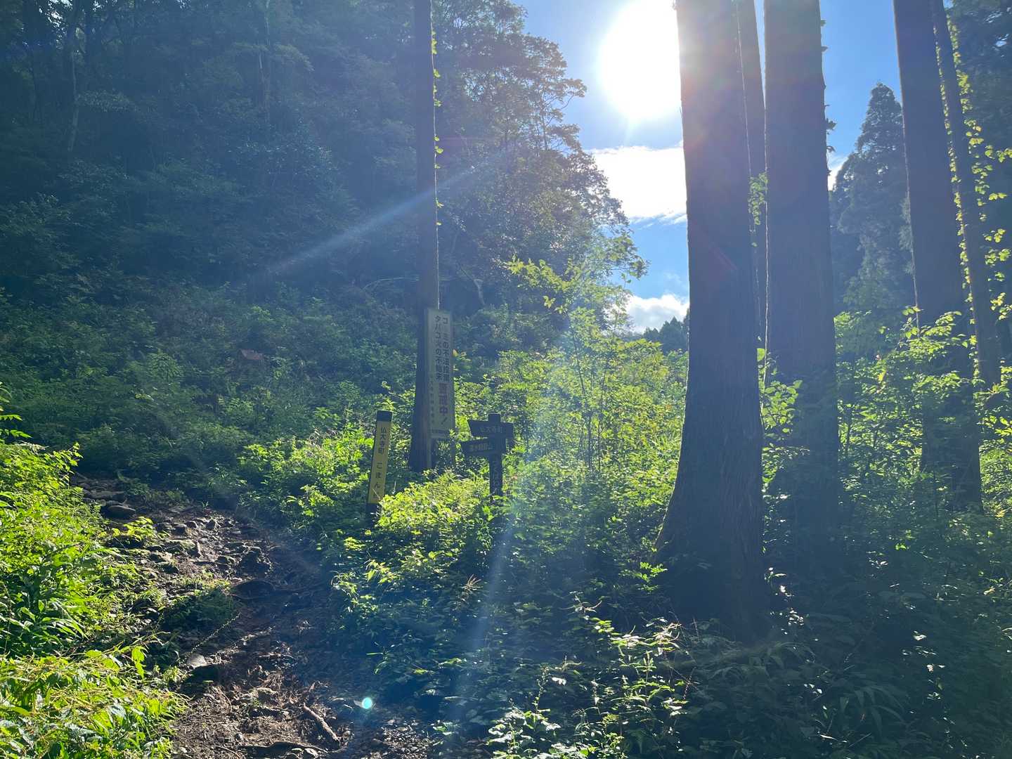 遣水観音山 周回コースの写真