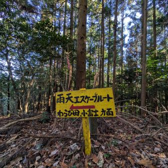 雨天は、逃げる？