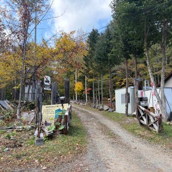 本当に北海道の山は整備次第ですね。

頭が下がります。