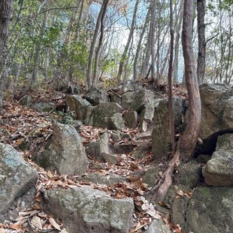 山頂付近から
岩場になってます