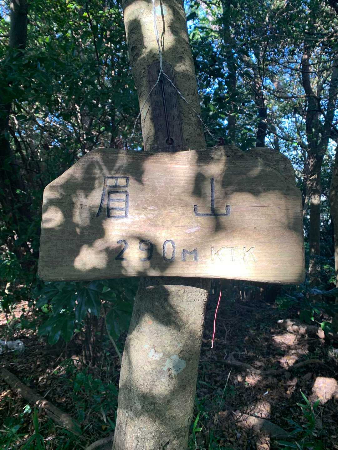 眉山 往復コースの写真
