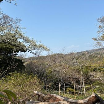 源氏山からの眺め