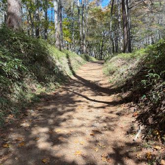 広い登山道