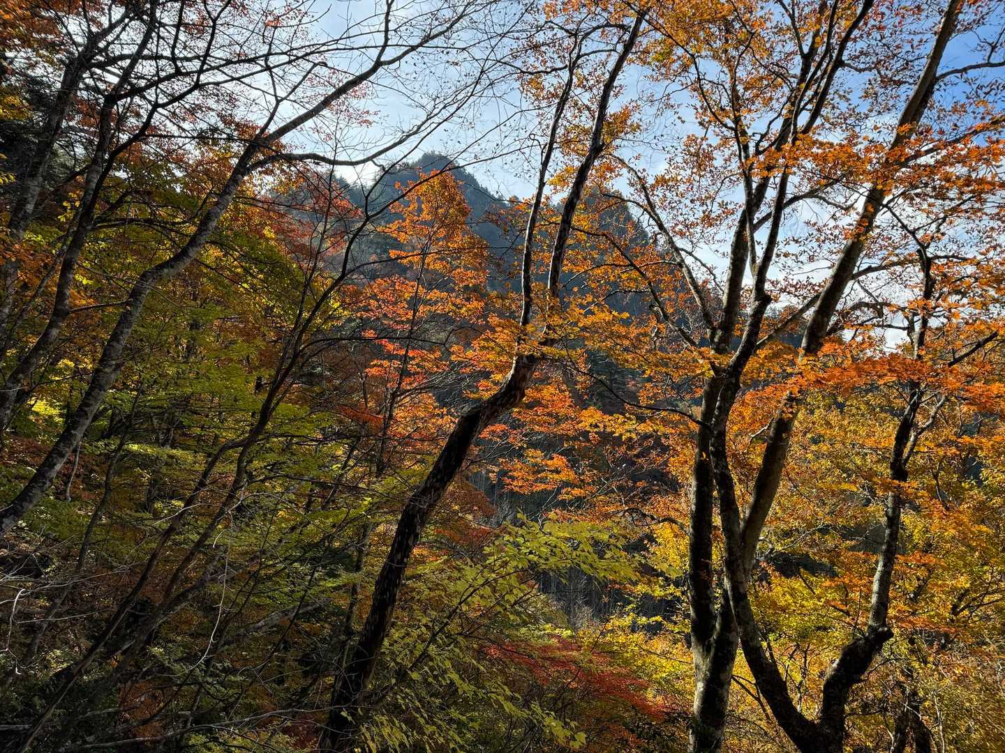 紅葉が綺麗です。
標高も高く無いので、気温もちょうど良い。