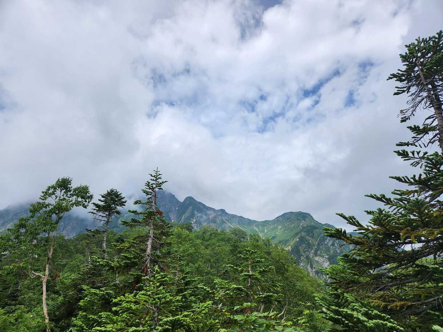 五竜岳が近づいてきた。
小遠見山から西遠見山までは距離の割に標高はあまり稼げない。