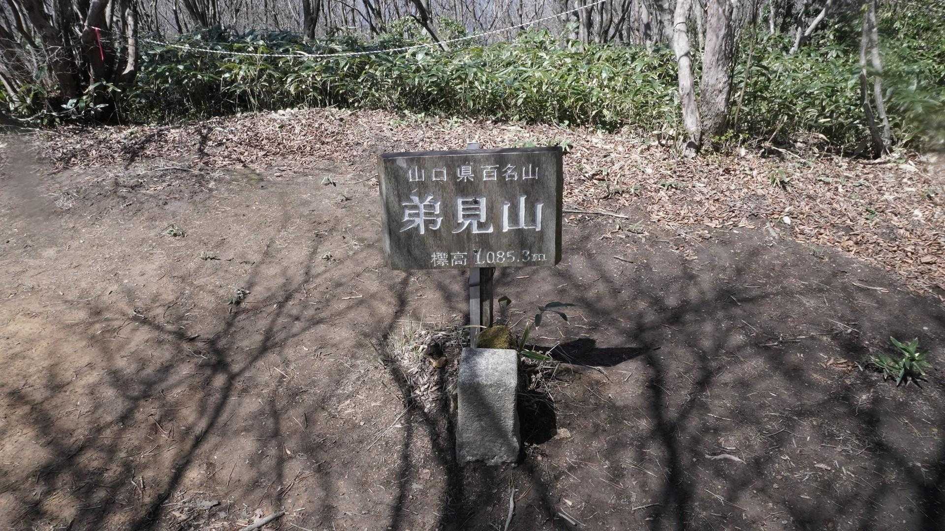 弟見山山頂