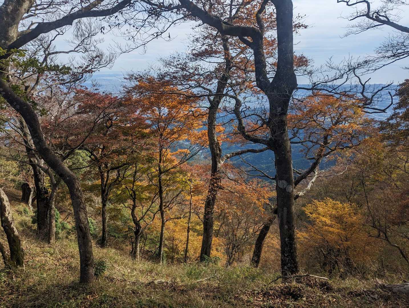 阿夫利神社下社-大山-見晴台 周回コースの写真
