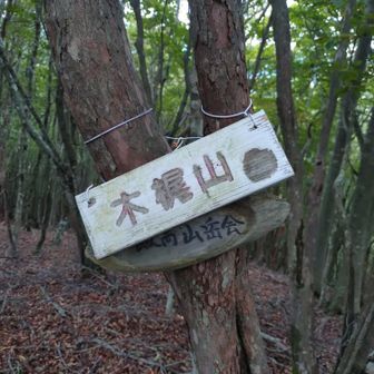 再び木梶山ピーク