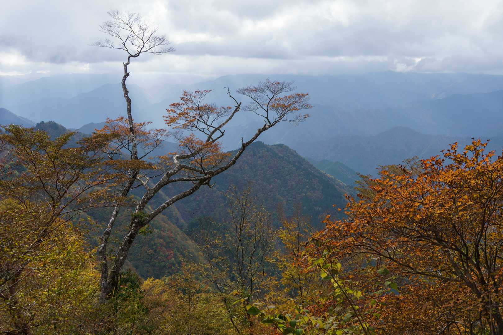 曇りの日ならではの景色なのかも。