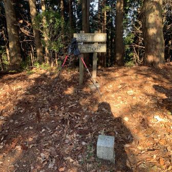 朝来山登頂。周囲の眺望は、ない