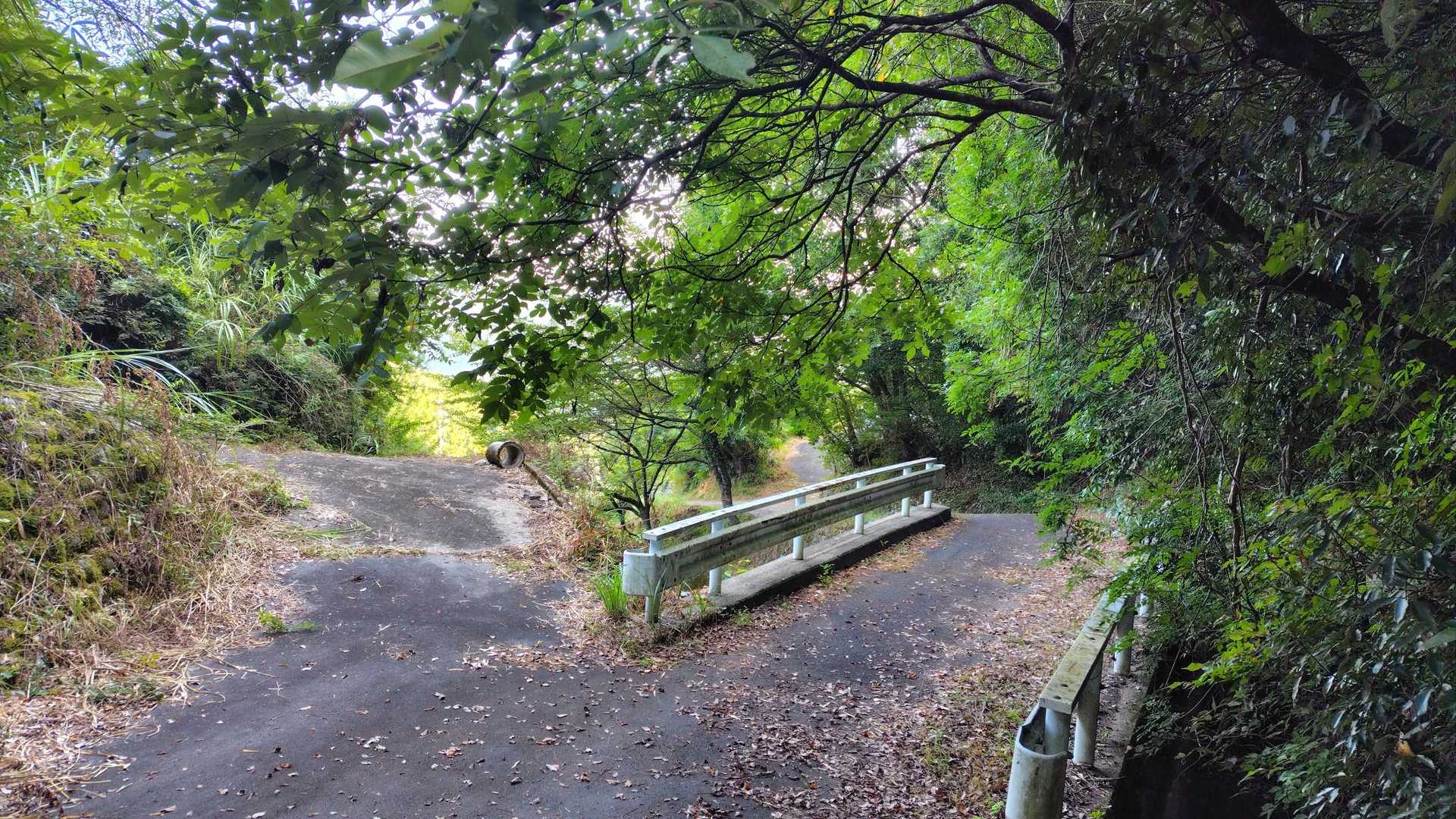 戻りました