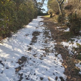 雪❄️が残っているので右側を登ります💦❗️👆