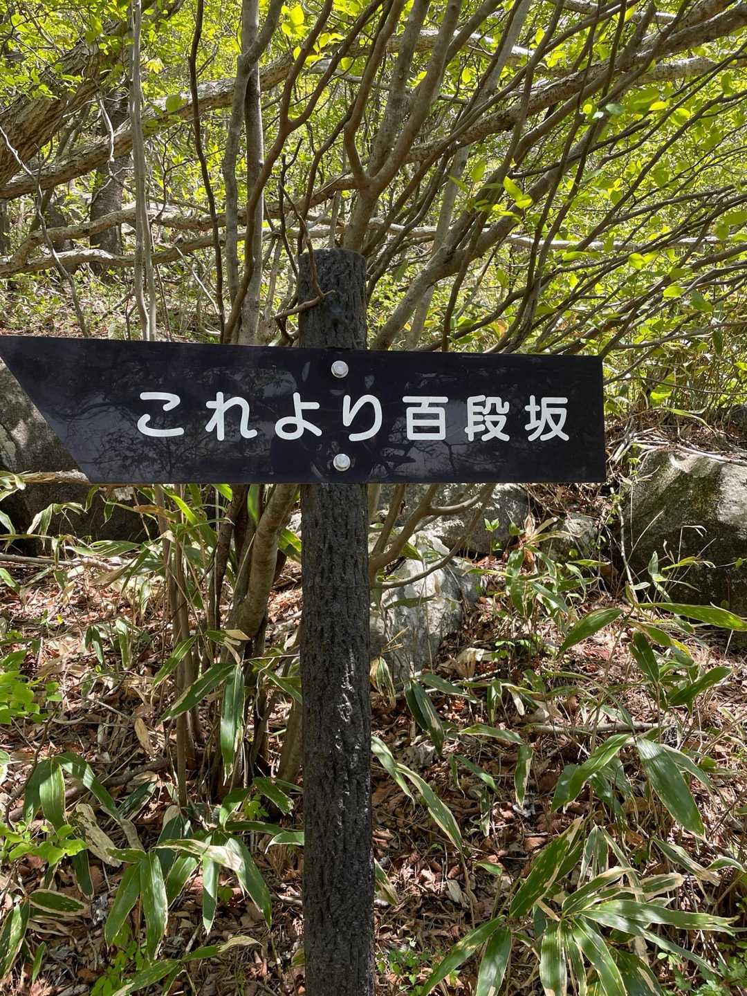 北口登山口の方に降りています
急な坂を降りてきました
百段坂 👍