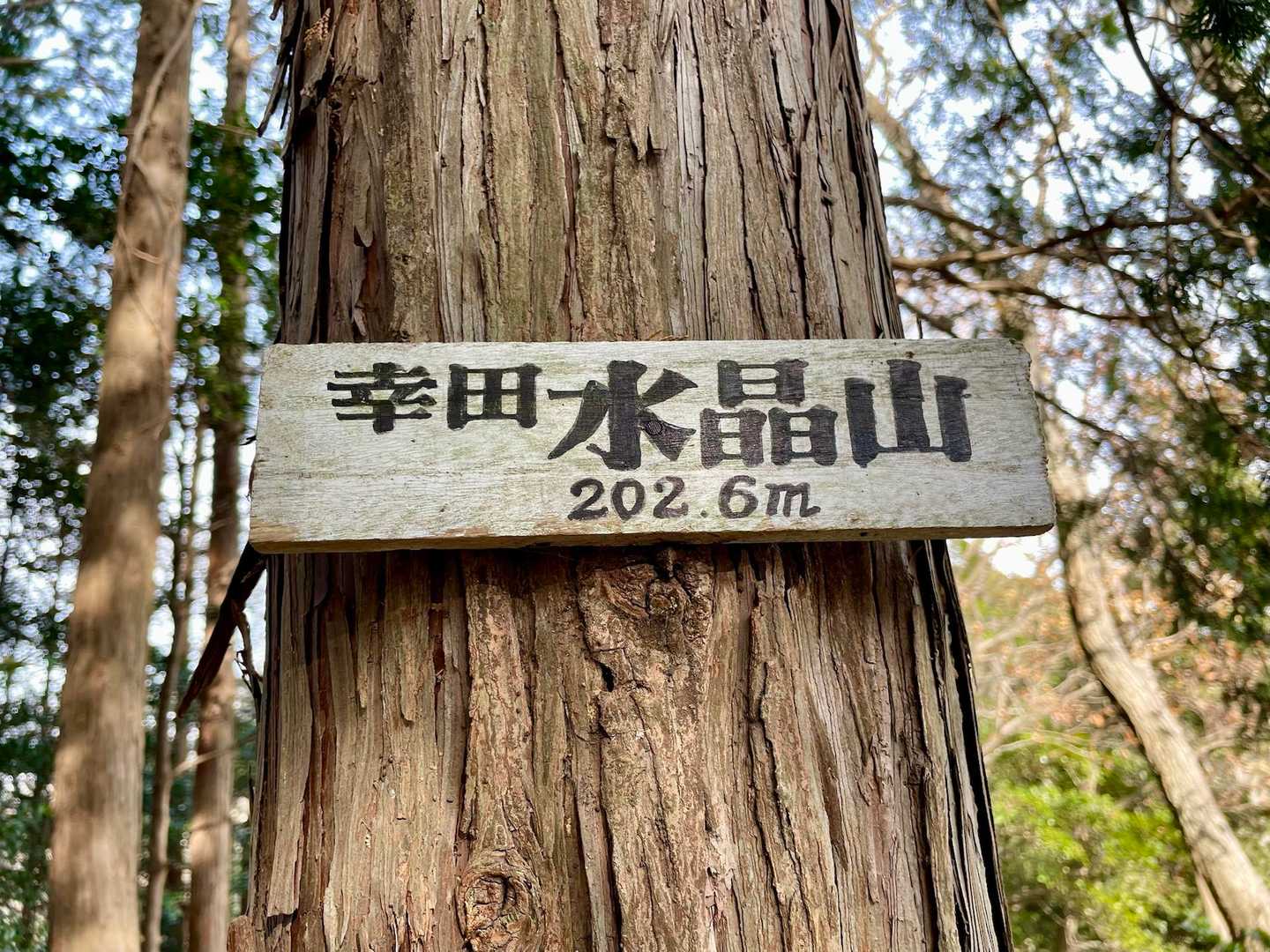 水晶山 往復コースの写真