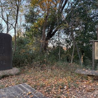 こちらに石碑があったので一応撮ったのですが、山頂は別の場所だったようです。
小沢峰、標高85m。
小沢城址は、小沢峰、浅間山、そしてYAMAPではピークの登録はない八洲台の3つの峰を中心に構成されているそう。