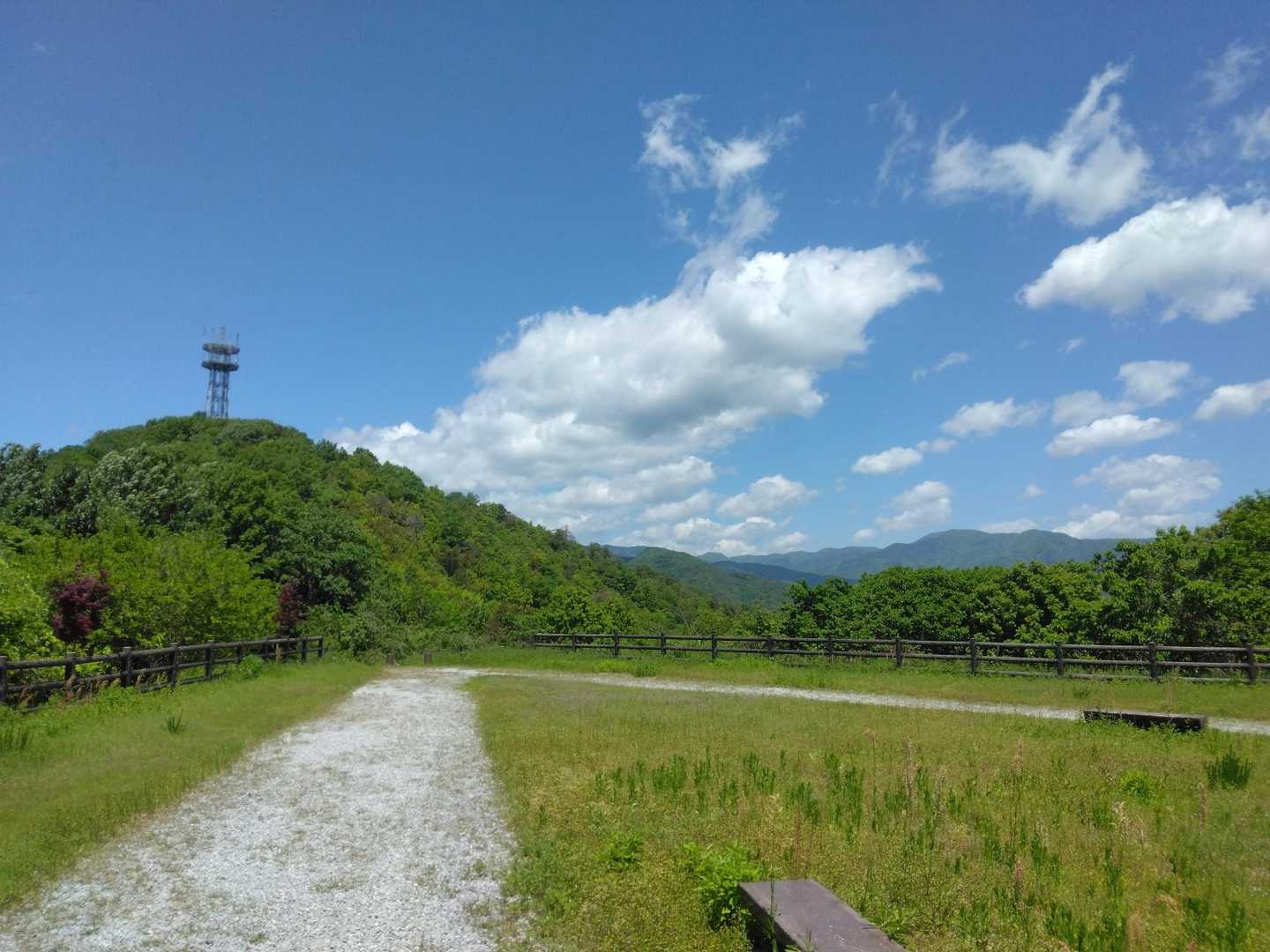 々。