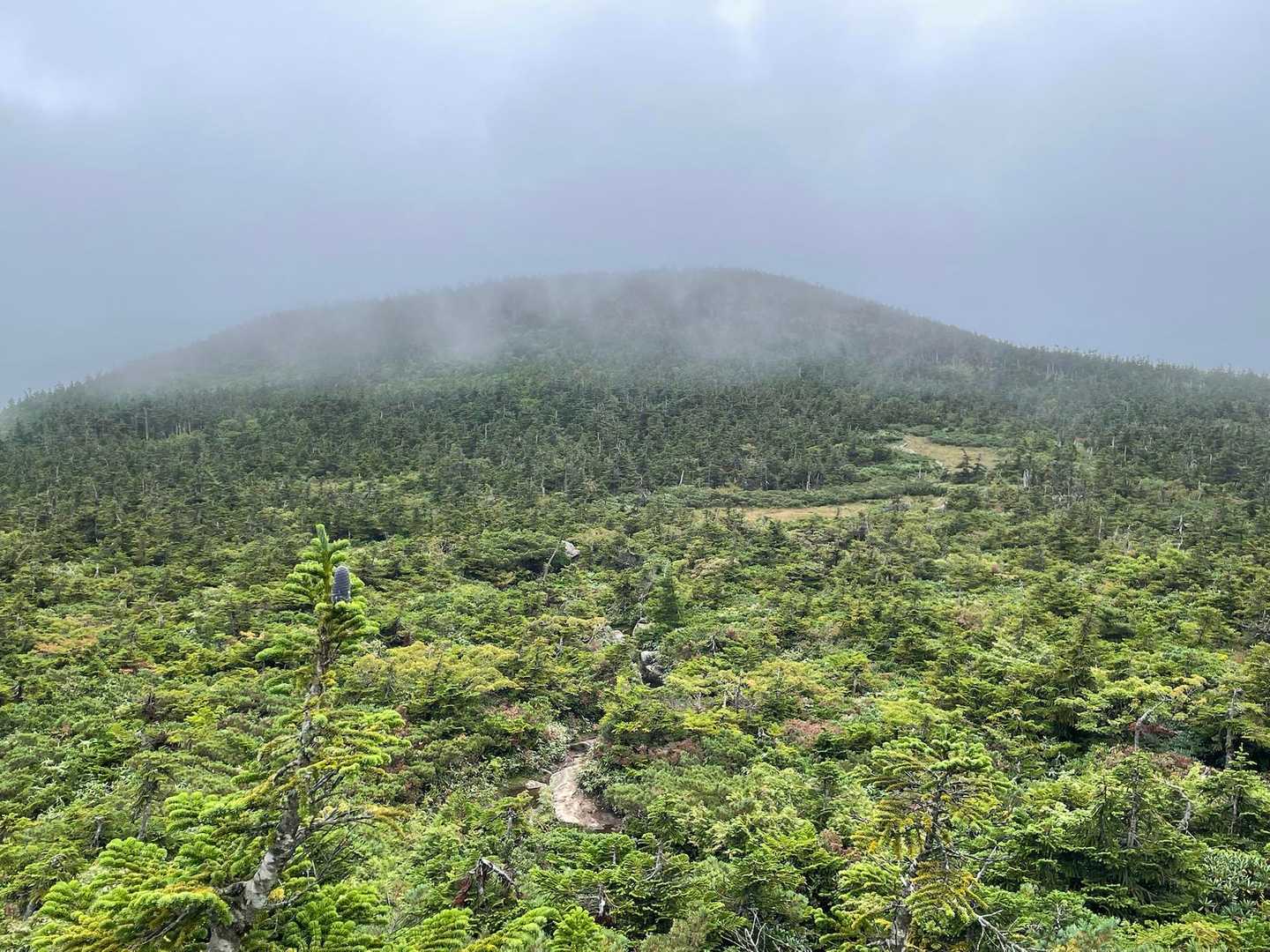 振り返って西吾妻山を望む⛰️
