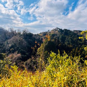 
むろいけ園地 ちょい手前まで戻ってきて、お気に入りビュースポットで景色眺め休憩

「ジュン！あの正面の山 最初に登った【六道輪廻ヶ岳】やで
んで、その山超えて 見えてへんけど山のもひとつ奥の山が飯盛山や」
「おぉ〜 あれ登ったんか… このスポットめちゃえ〜なぁ」

初めて標高調べた
飯盛山より六道輪廻ヶ岳の方が1m高かった😁
