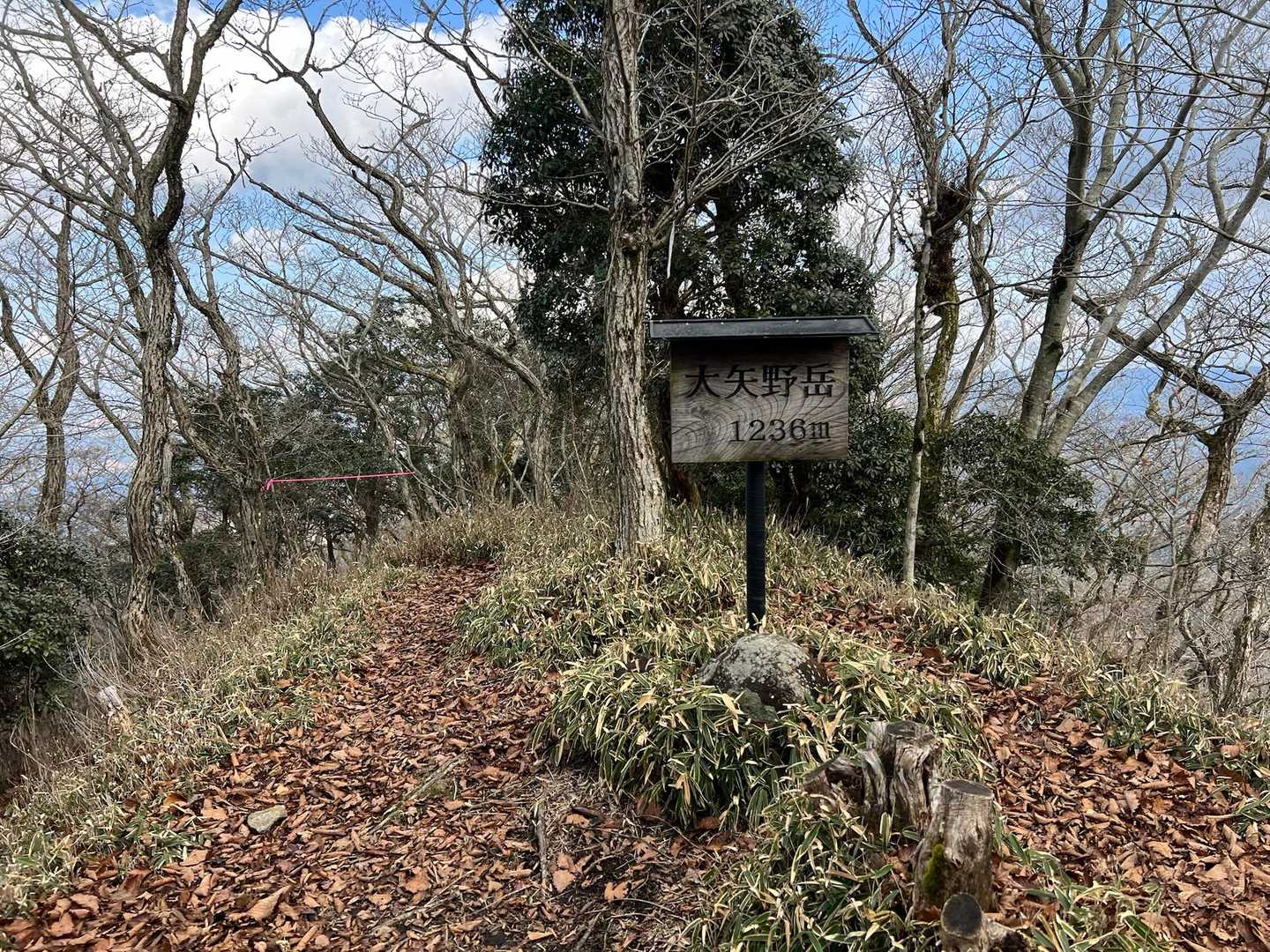大矢野岳！

あと半分😵‍💫まだまだ行けるぞ💪