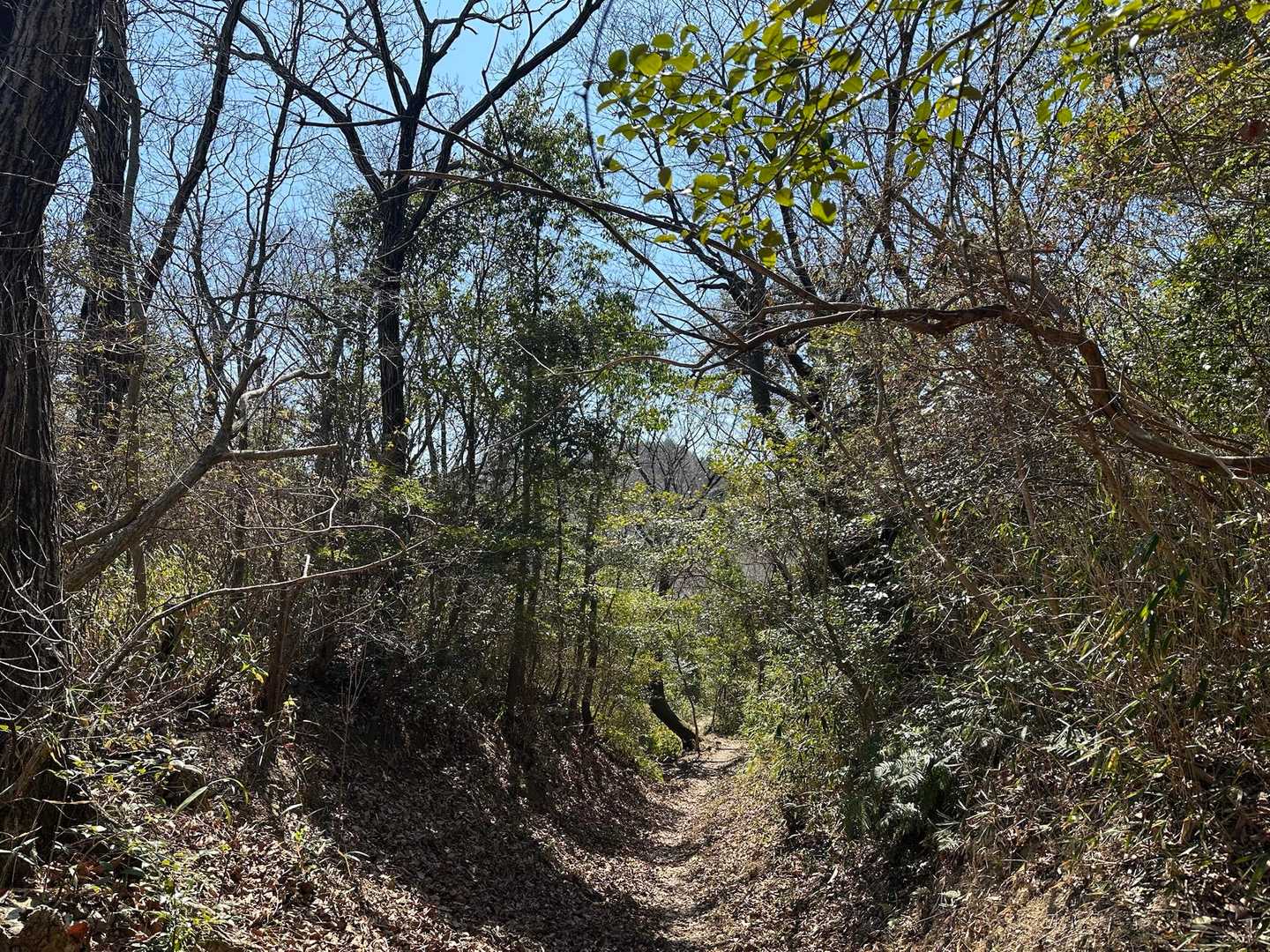 みさき公園へ向けて再スタート🥾
日が指すと暖かいくらいや😙〜🎵