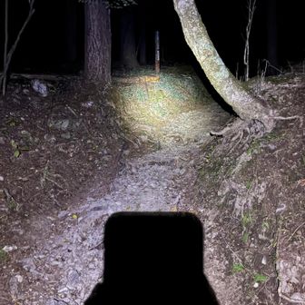 ヘッドライトで照らす登山道と道標
