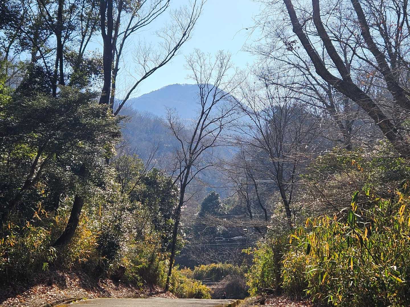 登山口から二上山がど～ん！
今日もいい天気☀