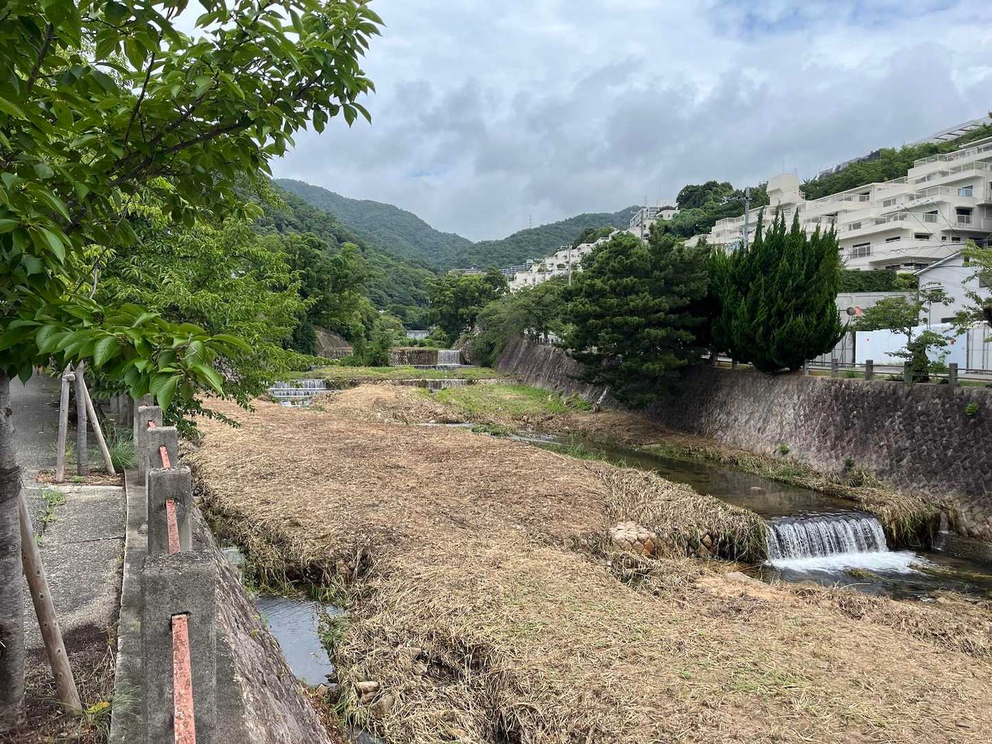 YAMAP始めた頃以来、4年近く来てなかったので、記憶を辿りつつ登ります✨