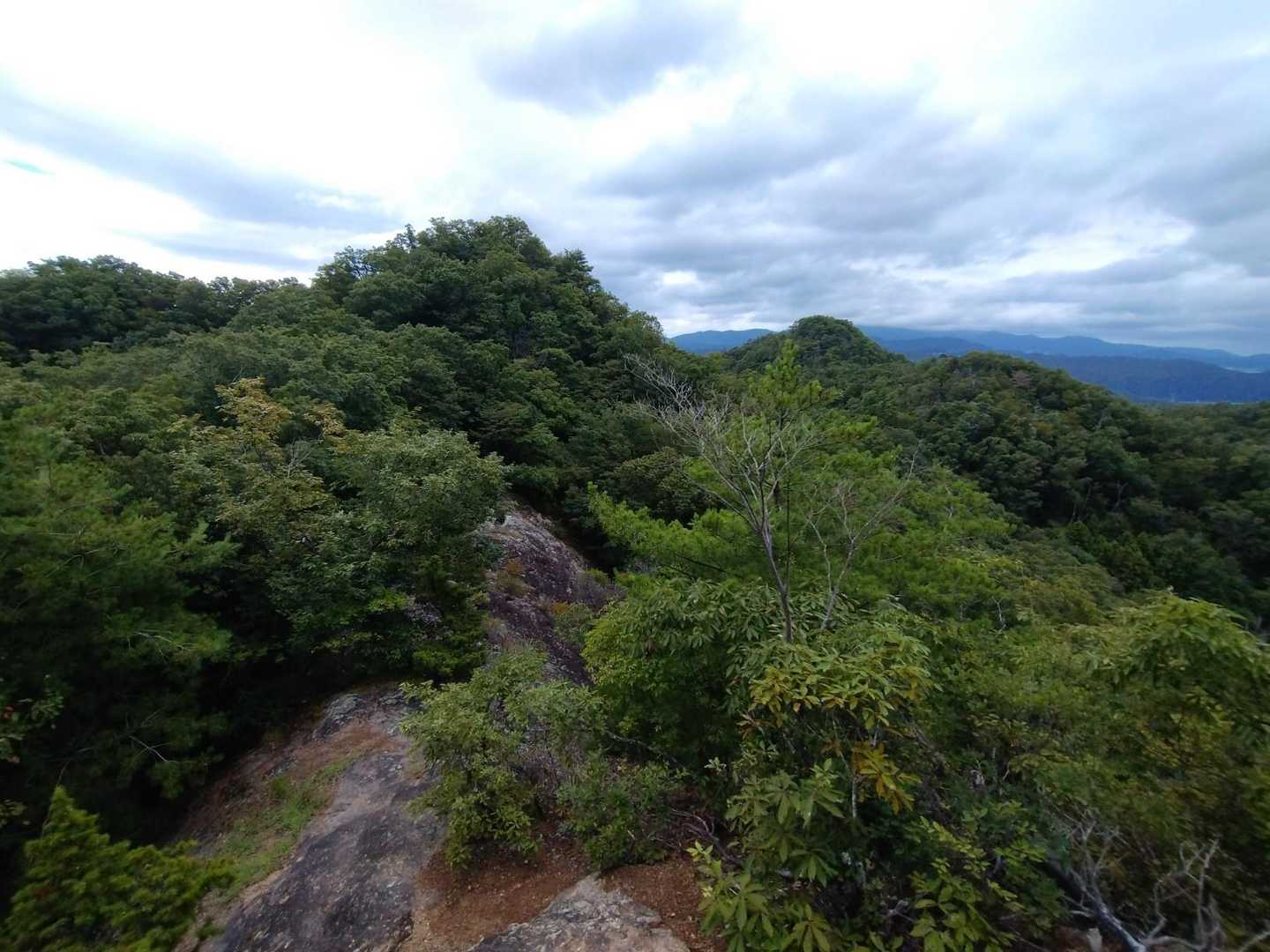 振り返ると東大岩岳のピーク
ここまで降りてくるのが面倒い😅