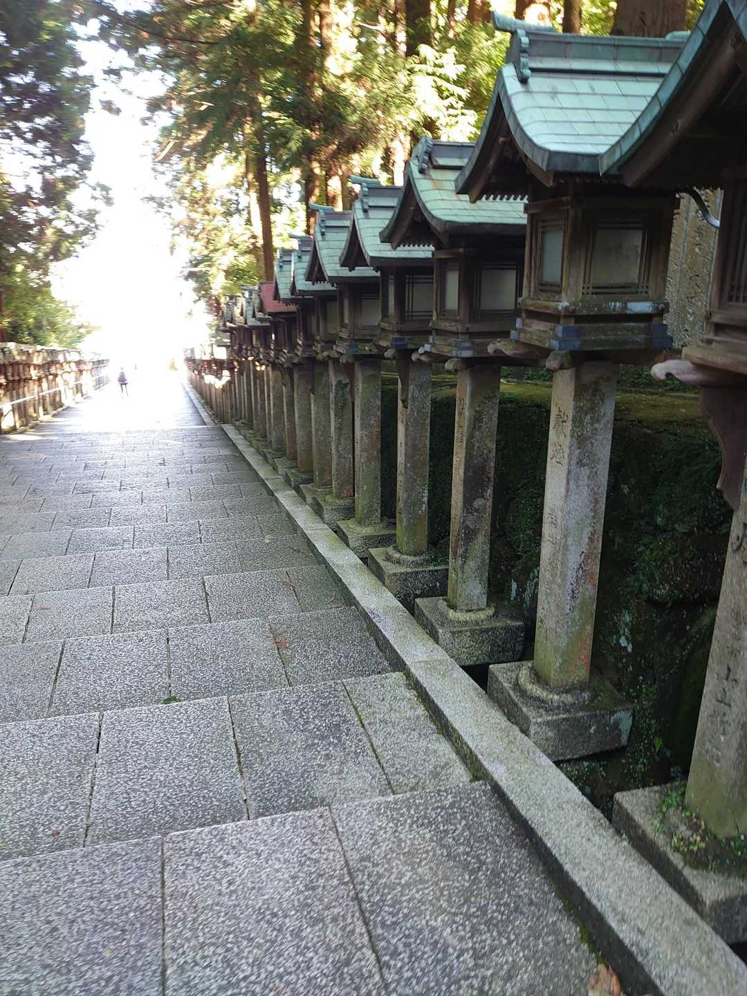 新石切駅-石切劔箭神社-興法寺-宝山寺駅-生駒駅 縦走コースの写真