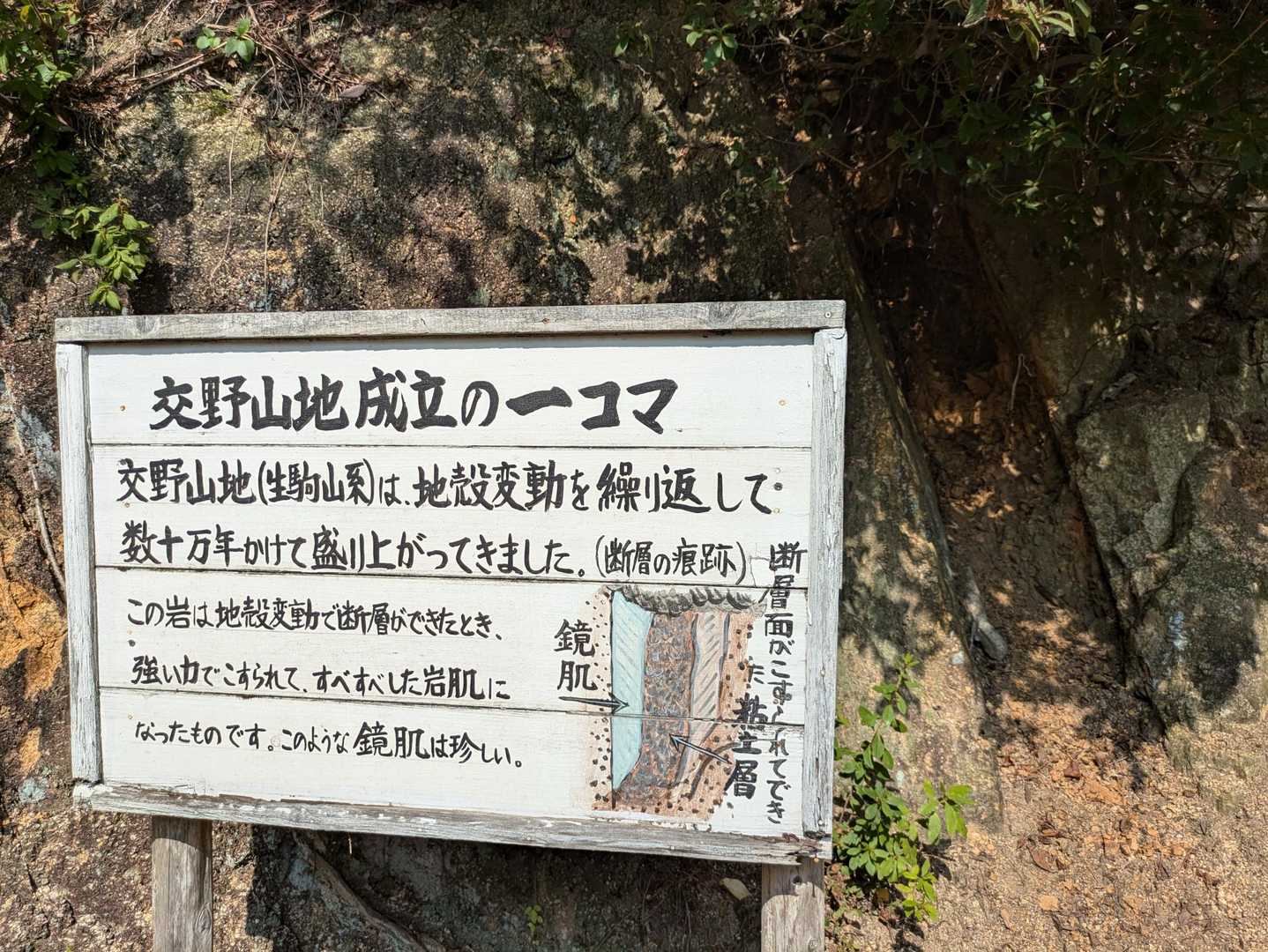 標識がなければ、わからなかったけど、近頃、地殻変動と言う言葉は、ＮＨＫの番組でしか聞けなかったけど😅