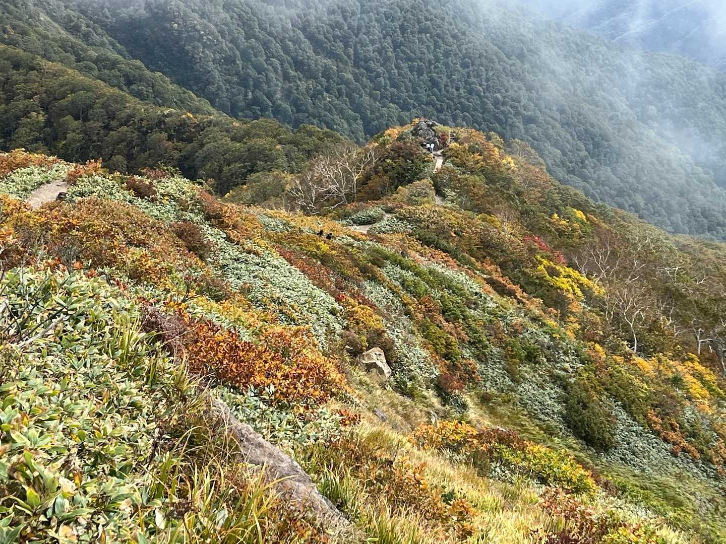 やはり紅葉🍁の尾根歩きに感動😀
