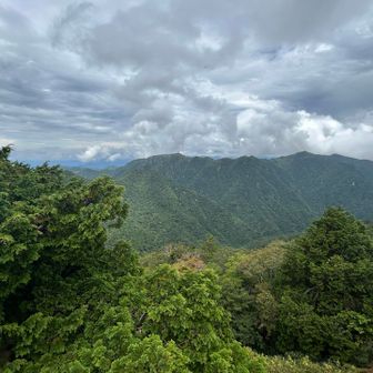 左から山上ヶ岳、地蔵岳、竜ヶ岳、阿弥陀ヶ森。

…穏やかに見えて、じっとしてたら羽アリに噛まれるので必死で撮ってます笑