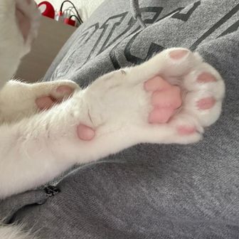 あき