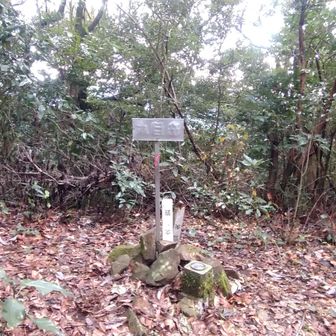 丸目岳にも立ち寄ります