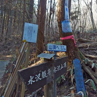 登山口に到着。