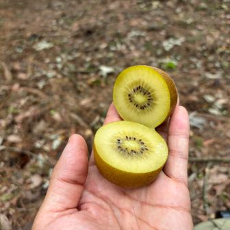 キウイ
水はあと400くらい
勝手だけあって水が乏しい
