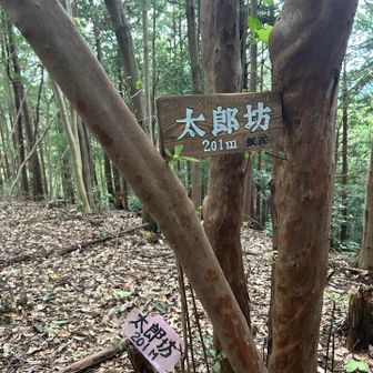 太郎は眺望なし
