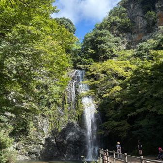 やはり水量多い