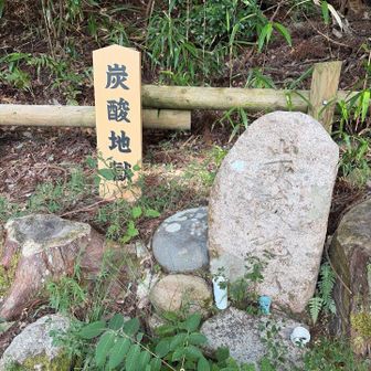 炭酸地獄🫧🫧
