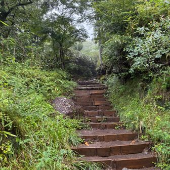 登りやすい登山道
