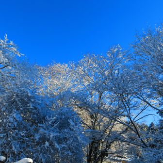 こわい斜め階段付近が綺麗