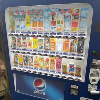 子の権現の自販機、ルート上の補給ポイントはこの自販機だけっぽかったです。電子マネー利用不可。
