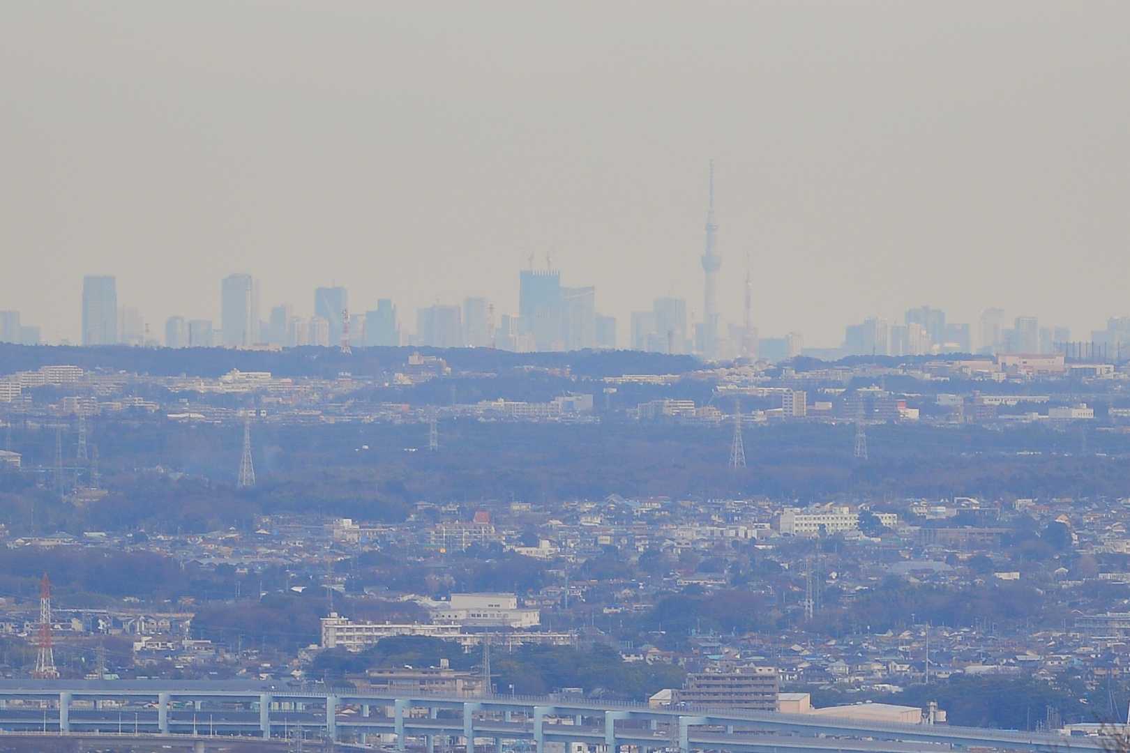 スカイツリー&東京タワー