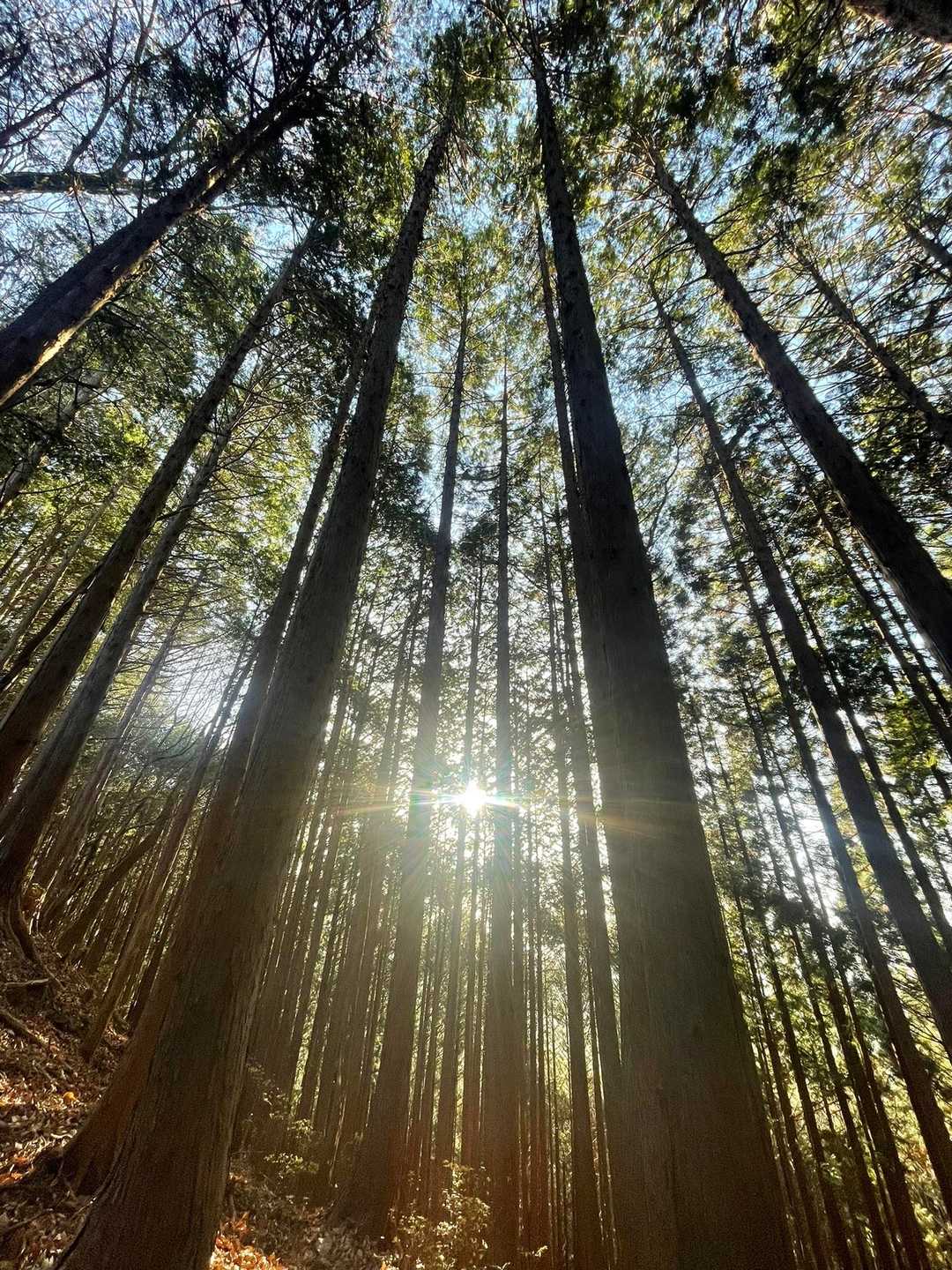 12月とは思えない暑さ☀️