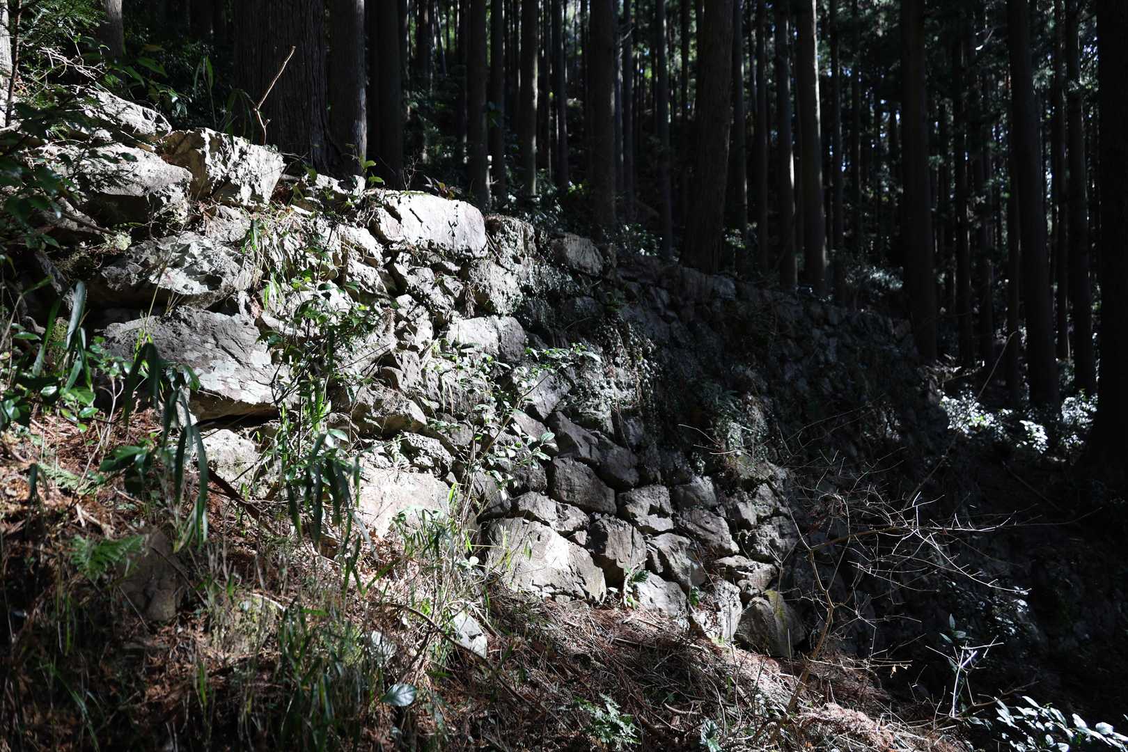 石垣が残っています。ここにも茶屋があったのでしょうか。