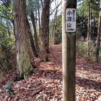 小渕山