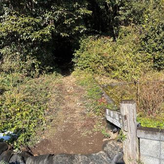 登山道入り口、住宅街のはずれに。
