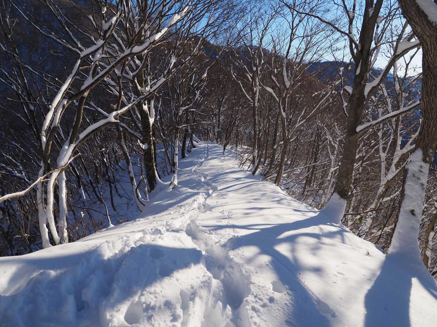 能郷谷登山口 往復コースの写真