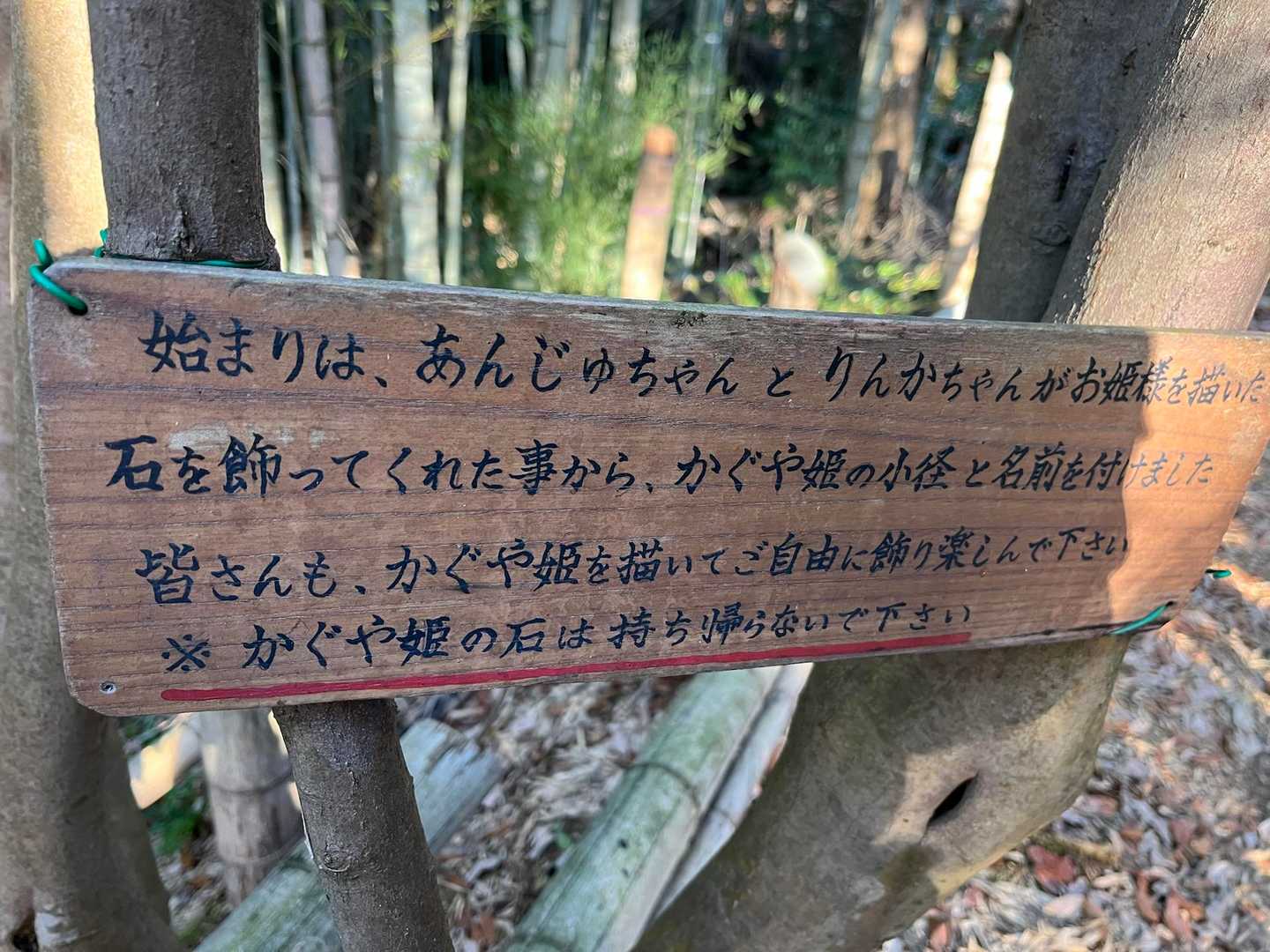 あんじゅちゃん、りんかちゃん、見てますか👍